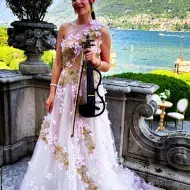 Insegnante di Violino